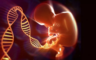 How Much of your Potential is Genetic?