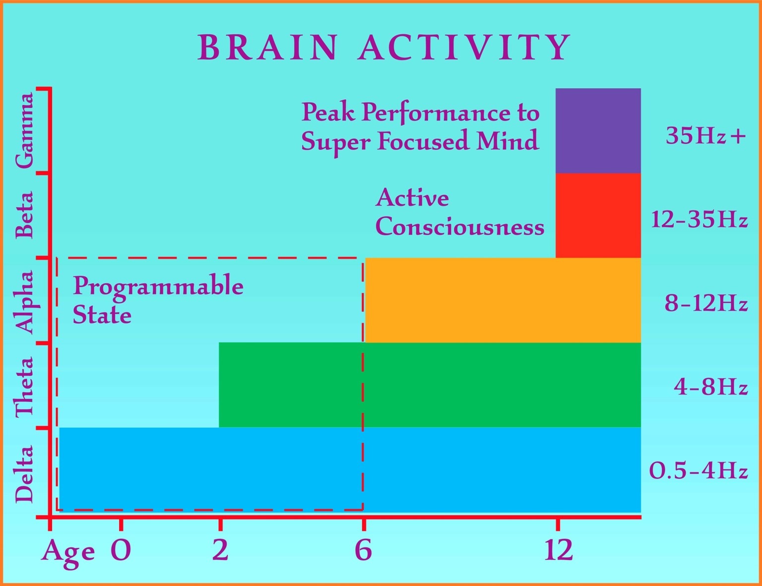 What Affects Brain Activity